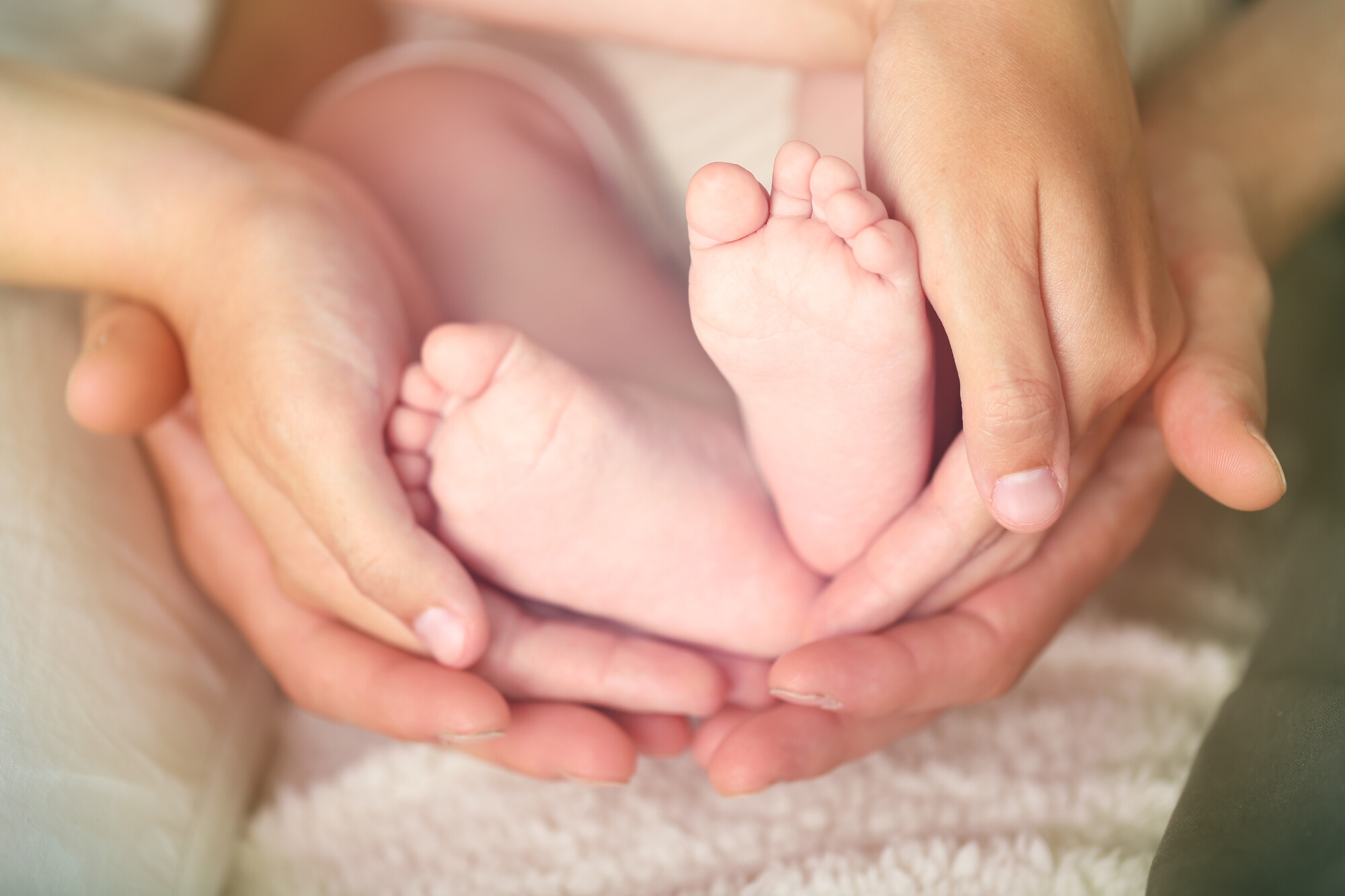 5 Reasons to Choose Vermont Surrogacy Network