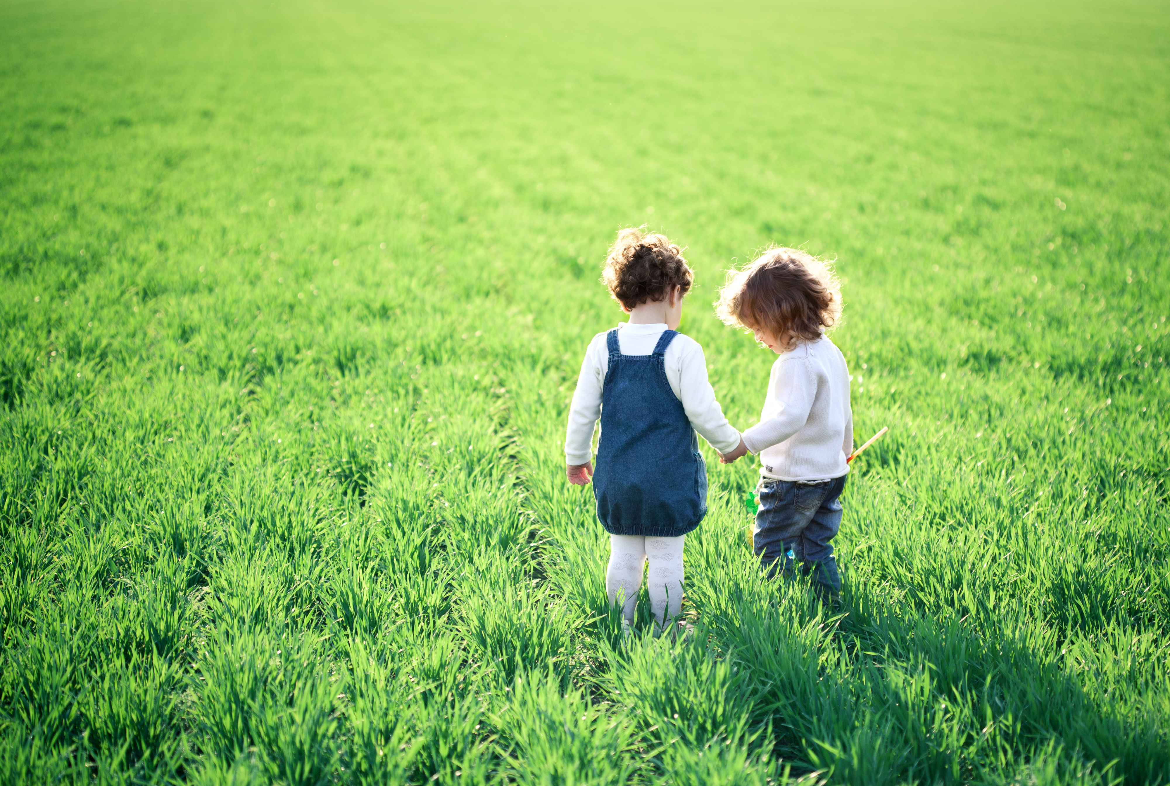 Children Holding Hands in a field representing walking eachother home